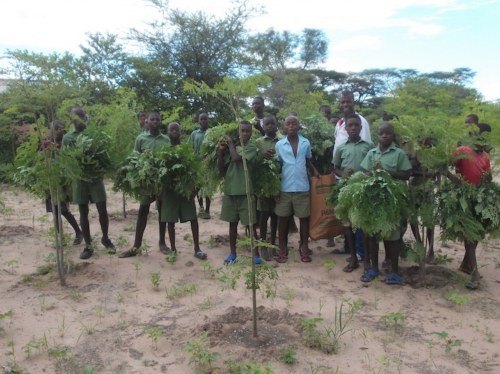 Kariba  REDD+ Forest Protection