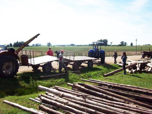 Guanaré Forest Plantations