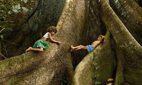 ADPML Pacajai  Portel-Para REDD Wald Project