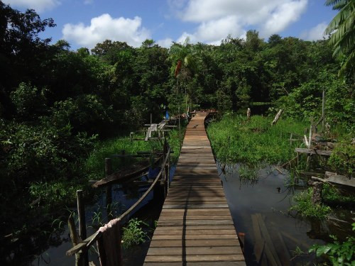 ADPML Pacajai  Portel-Para REDD Wald Project