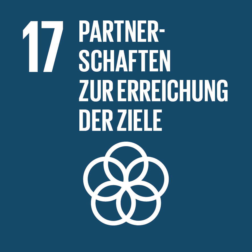 Umsetzungsmittel und globale Partnerschaft stärken